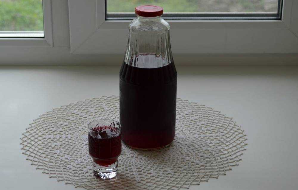 Домашнее вино из черемухи: простой пошаговый рецепт