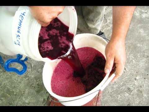 Вторичное брожение вина из мезги (жмыха) винограда в домашних условиях