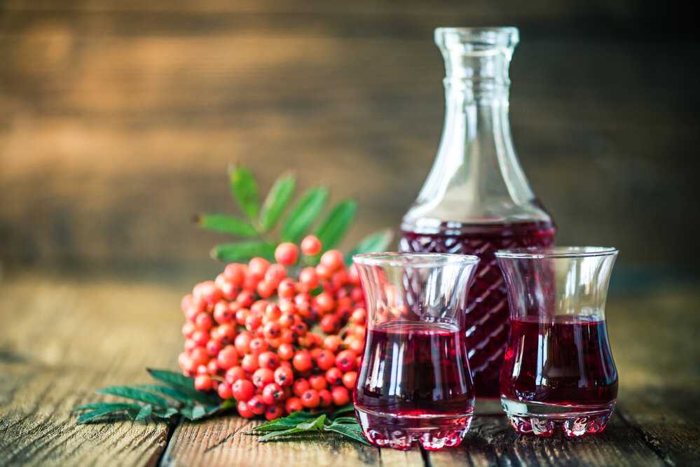 Вино из красной рябины в домашних условиях: простые пошаговые рецепты, как сделать рябиновый продукт, поставить на дрожжах и без, а также приготовить иным способом?