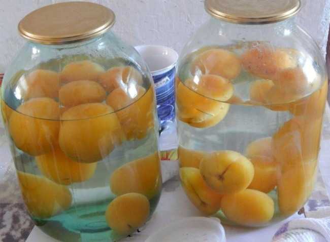 Пошаговый рецепт приготовления компота из яблок и абрикосов на зиму