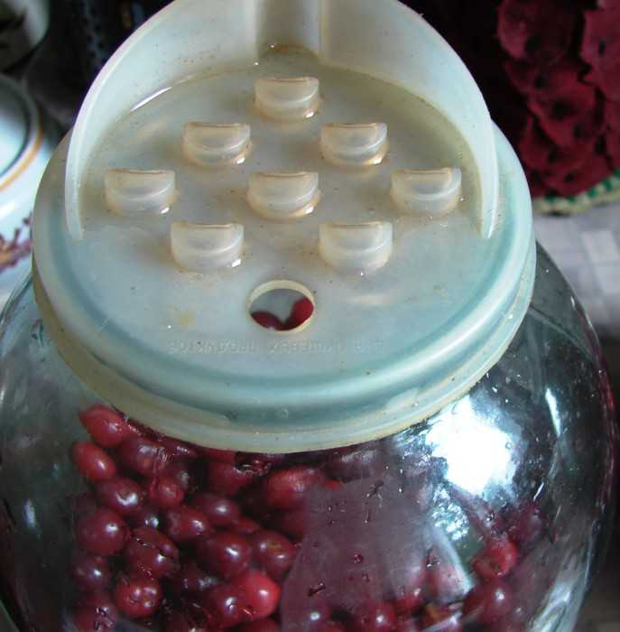 Компот из вишни с косточками - 6 рецептов на зиму с пошаговыми фото