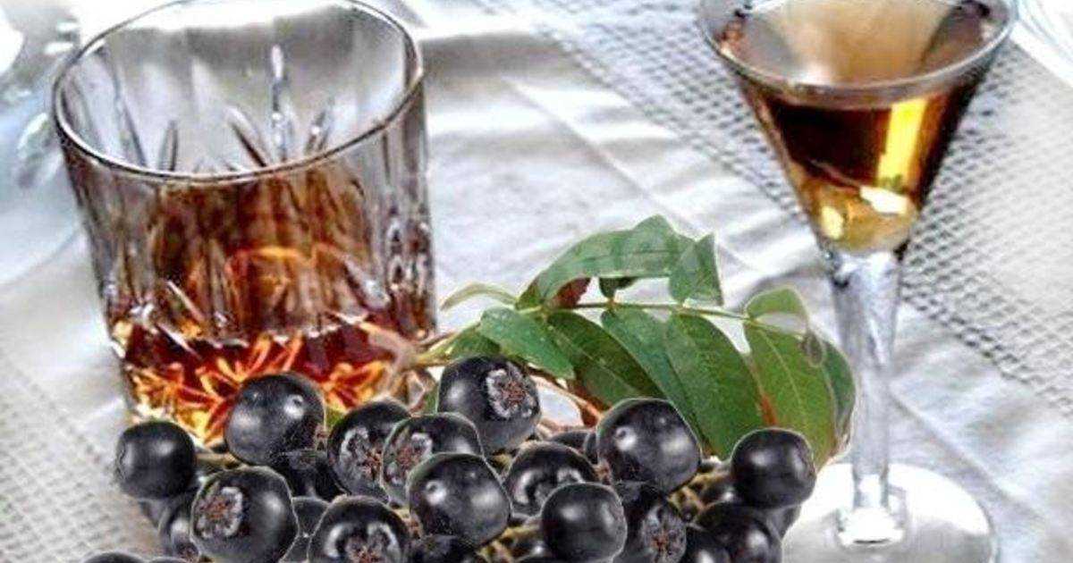 Вино из черноплодной рябины: простой рецепт в домашних условиях, как сделать вино из черноплодки своими руками