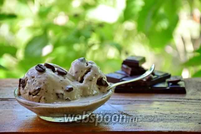 Домашнее шоколадное мороженое - 10 пошаговых фото в рецепте