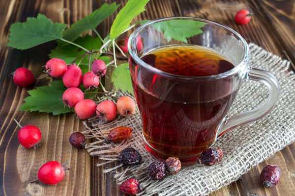 Чай из боярышника: польза и вред