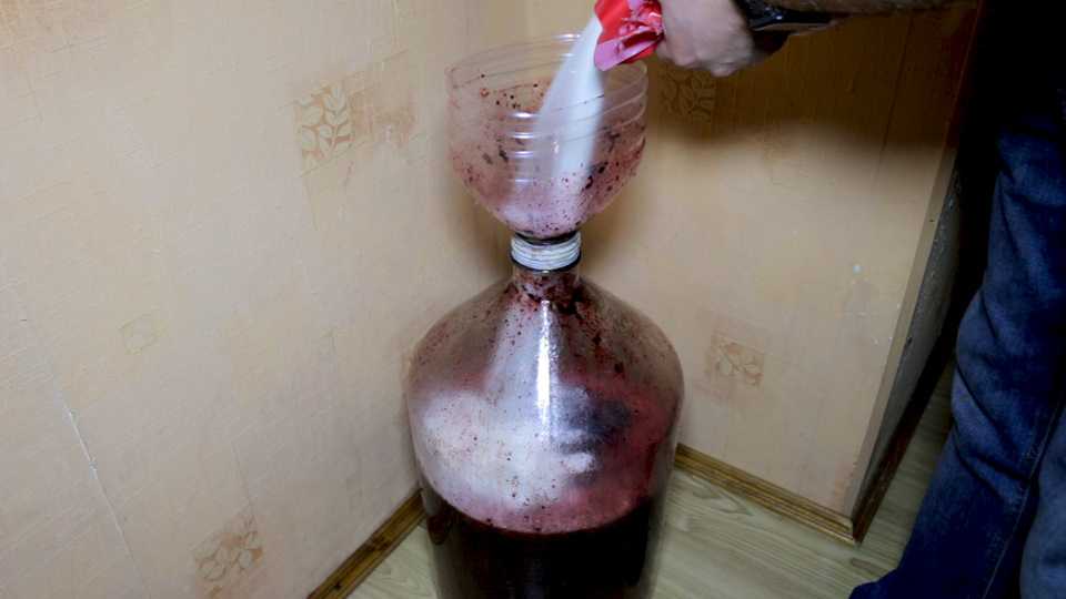 Как сделать вино из черноплодной рябины в домашних условиях
