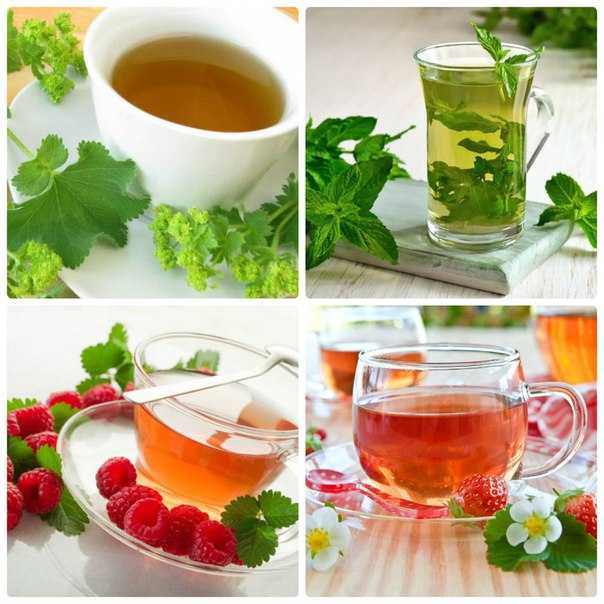 Полезные свойства зеленого чая - сибирский медицинский портал
