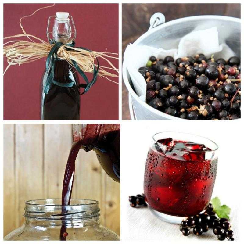 Вино из красной смородины - простые рецепты в домашних условиях