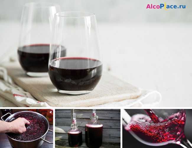 Вино из рябины красной в домашних условиях простой рецепт