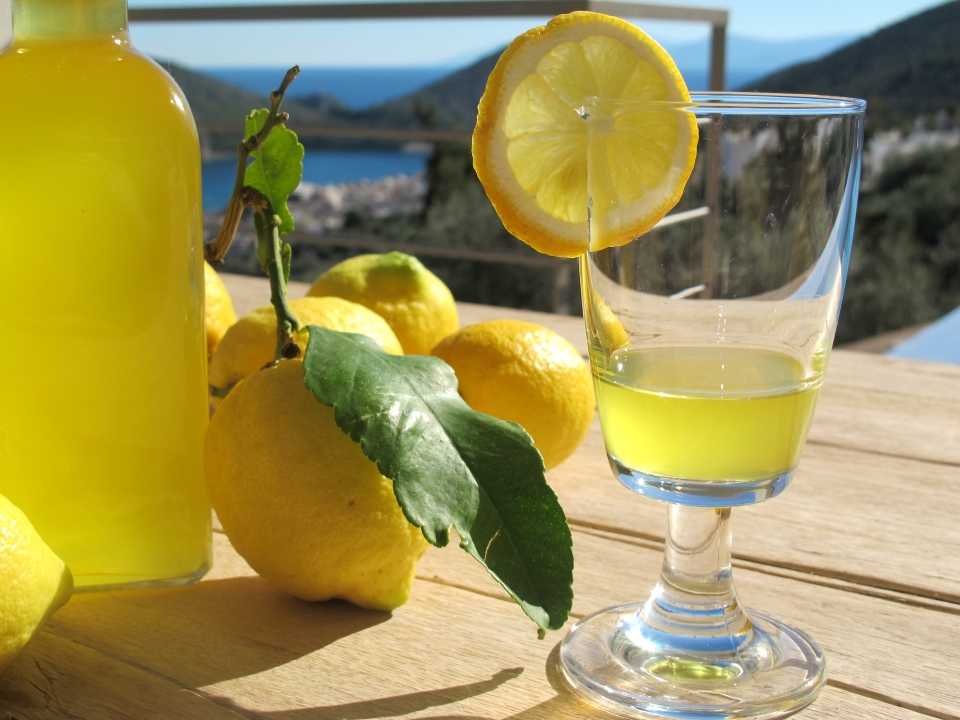Как сделать лимончелло в домашних условиях