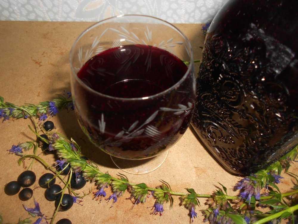 Полезные свойства и лучшие рецепты домашнего вина из черноплодной рябины