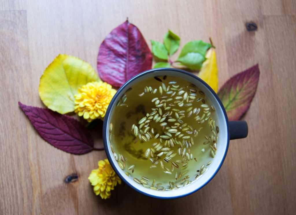 Чай с фенхелем полезные свойства и противопоказания