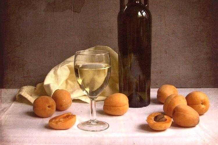 Рецепт приготовления абрикосового вина