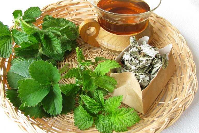 Ферментированный чай из листьев клубники: приготовление с фото
