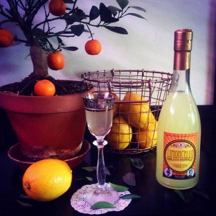 Апельсиново-гвоздичный ликер рецепт с фото пошагово и видео