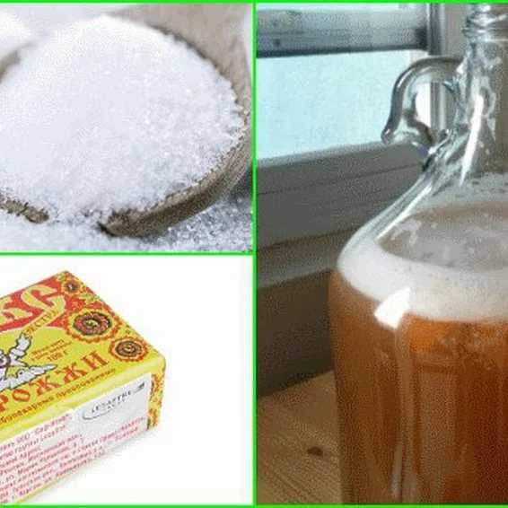 Изготовление браги из сахара и дрожжей: закваска, подкормка