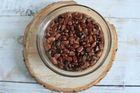 Настойка на кедровых орешках: рецепты, лечебные свойства