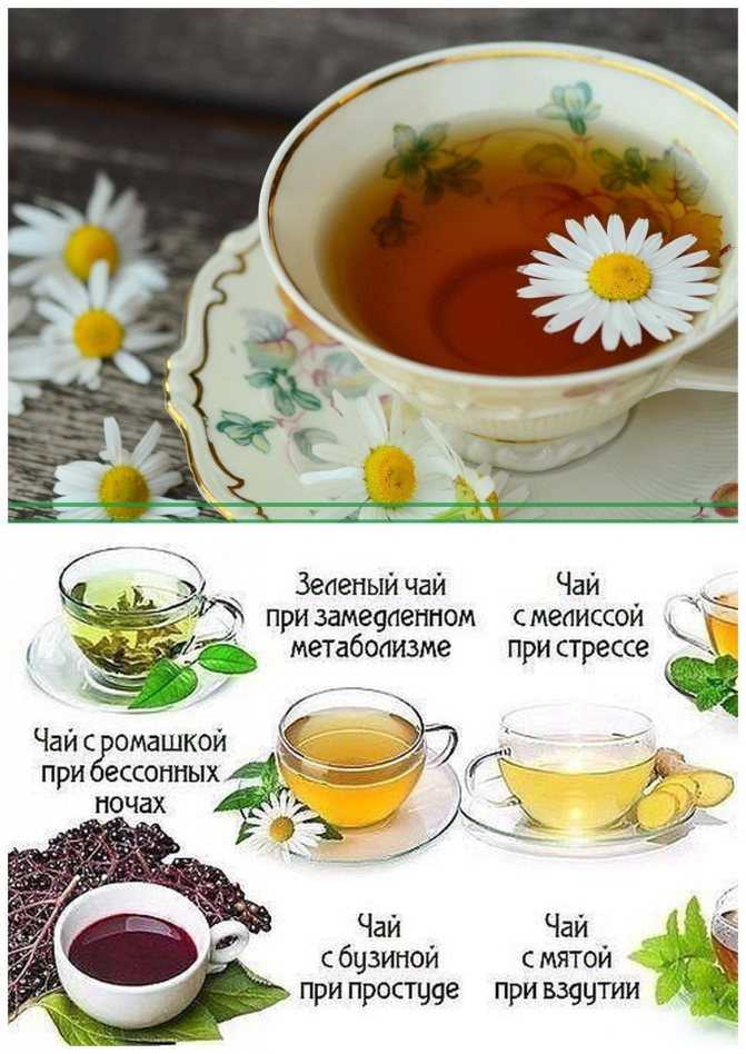 Иван чай зверобой
