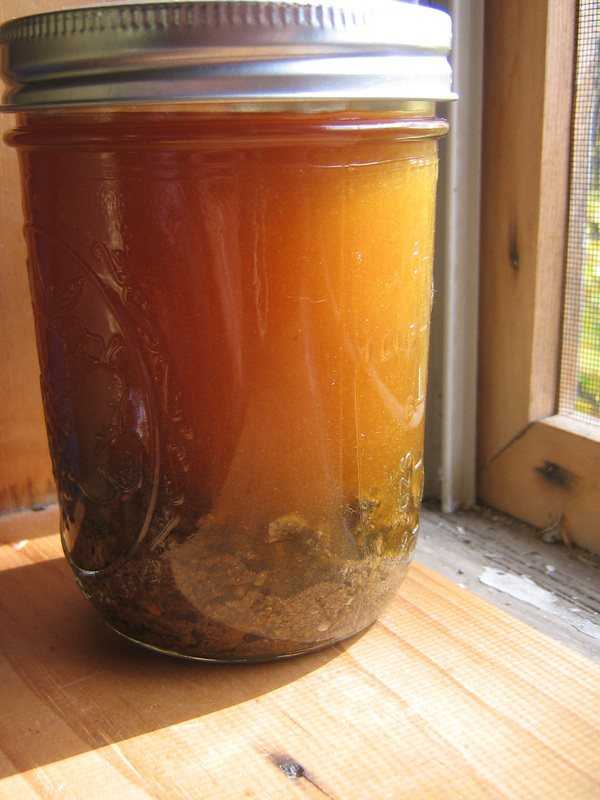Настойка из пчелиного подмора | применение и рецепты