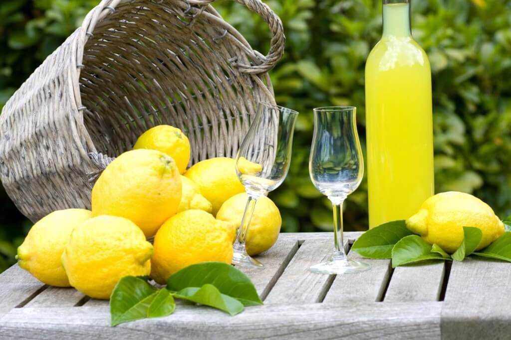 Настойка лимонно-мятная — пошаговый рецепт с фото