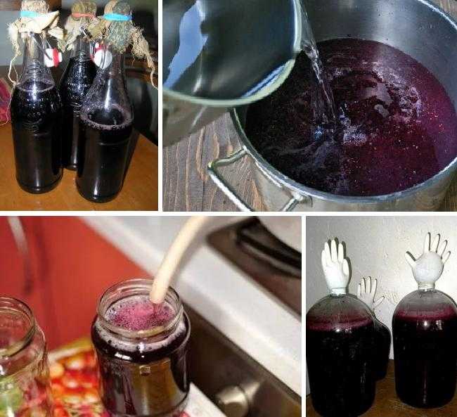 Вино в домашних условиях из винограда: простые рецепты. как сделать вино из винограда белое, красное, сухое?