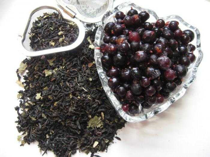Полезнейший ферментированный чай из листьев клубники — готовим в домашних условиях
