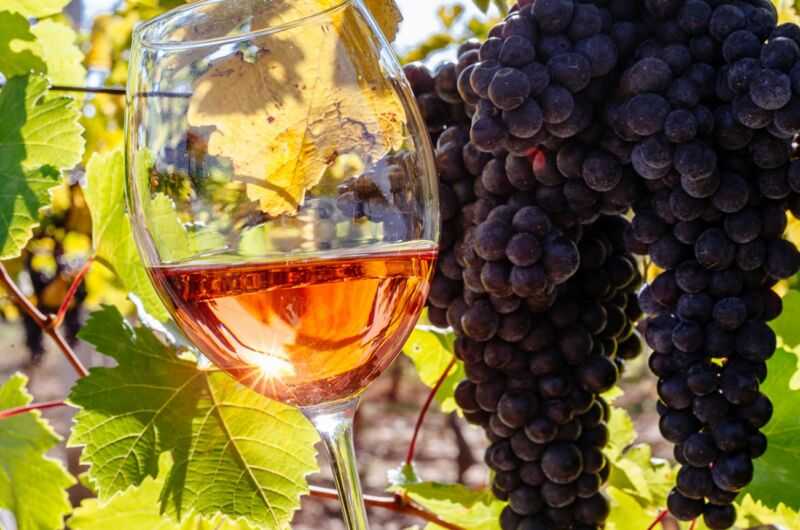 Как сделать вино из винограда в домашних условиях: 8 простых рецептов приготовления