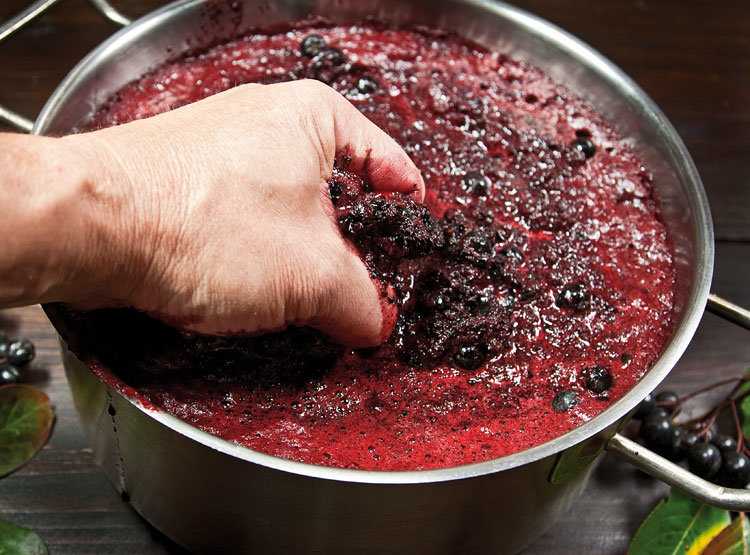 Простой рецепт приготовления вина из замороженных ягод в домашних условиях