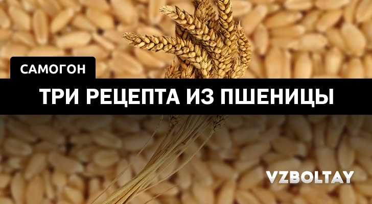Самогон из пшеницы без дрожжей - рецепты и секреты приготовления, видео