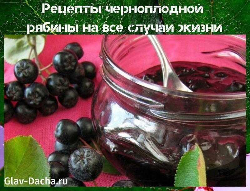 17 простых рецептов приготовления компота из черноплодной рябины на зиму