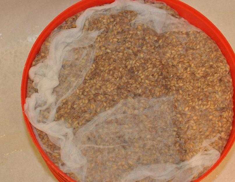 Рецепт самогона из пшеницы в домашних условиях: как сделать самому