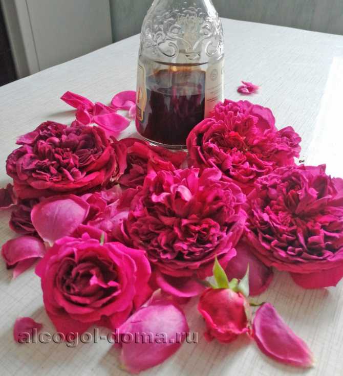 Вино из лепестков роз - простые пошаговые рецепты для приготовления в домашних условиях