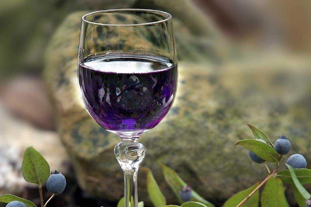 Вино из ирги - лучшие рецепты насыщенного домашнего алкогольного напитка