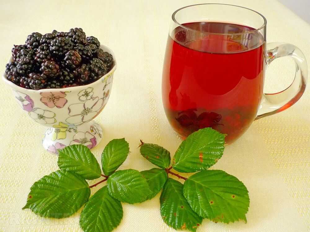Влияние чая из листьев малины на организм, его польза и вред