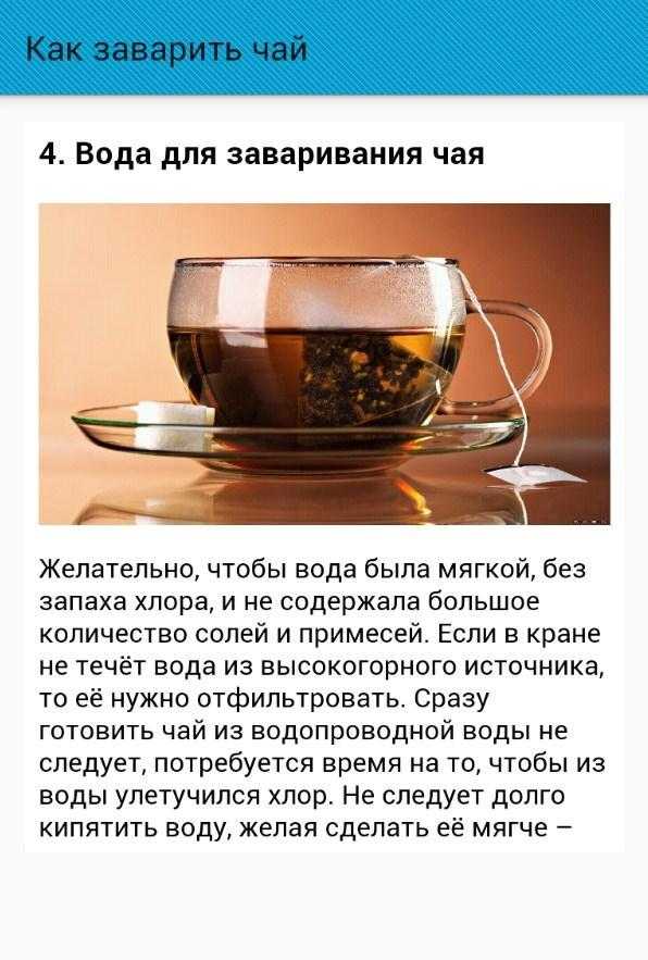 Польза и вред чая с мелиссой для здоровья организма человека, рецепты приготовления