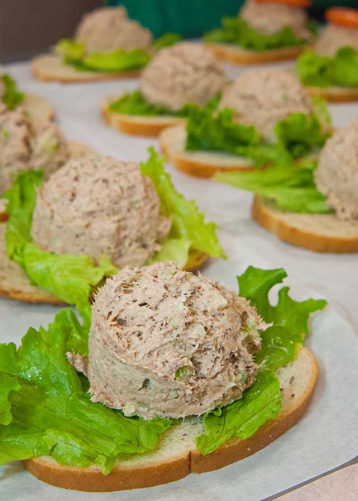 Бутерброды с консервированным тунцом — 3 рецепта приготовления