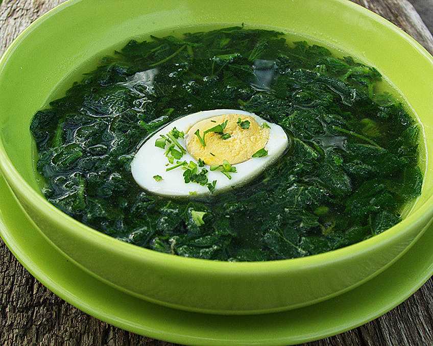 Зеленые щи с щавелем и яйцом: 3 рецепта (на курином, на мясном бульоне, с крапивой)