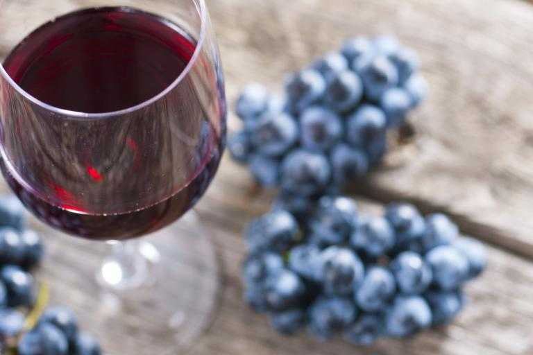 Как приготовить из ягод голубики домашнее вино, ликер, настойку на водке: лучшие рецепты