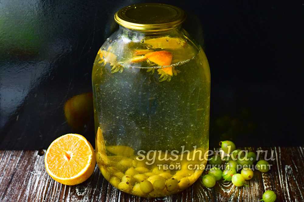 Компот из крыжовника: рецепты на зиму, мохито, с апельсином, мятой