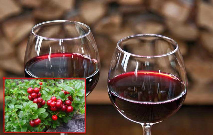 Вино из брусники - живая кровь тайги в бокале