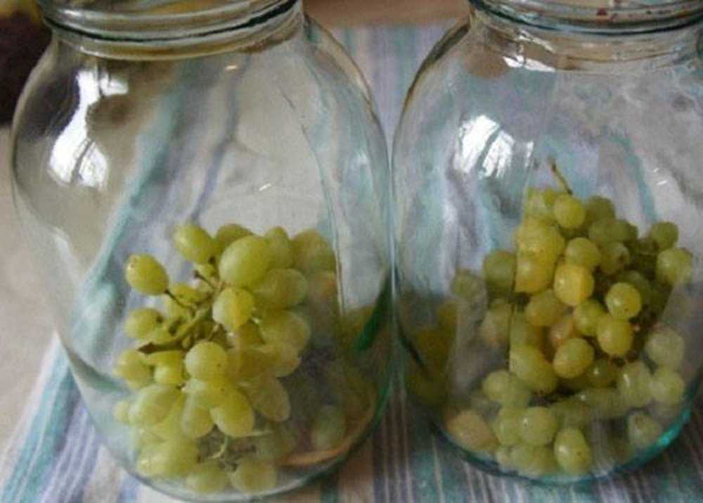 Компот из винограда на зиму: рецепты на 1-3 литровую банку с фото и видео