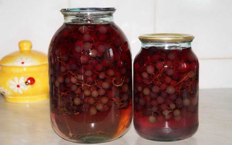Компот из винограда и слив ⋆ простые рецепты с фото