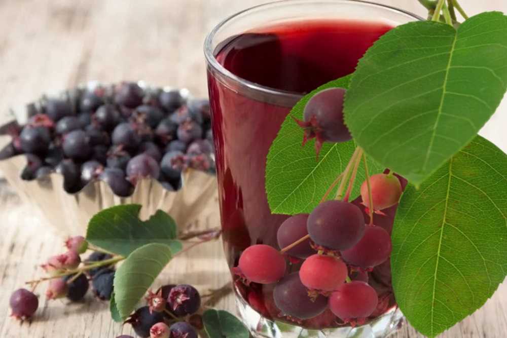 Простой рецепт приготовления вина из ирги – сайт о винограде и вине