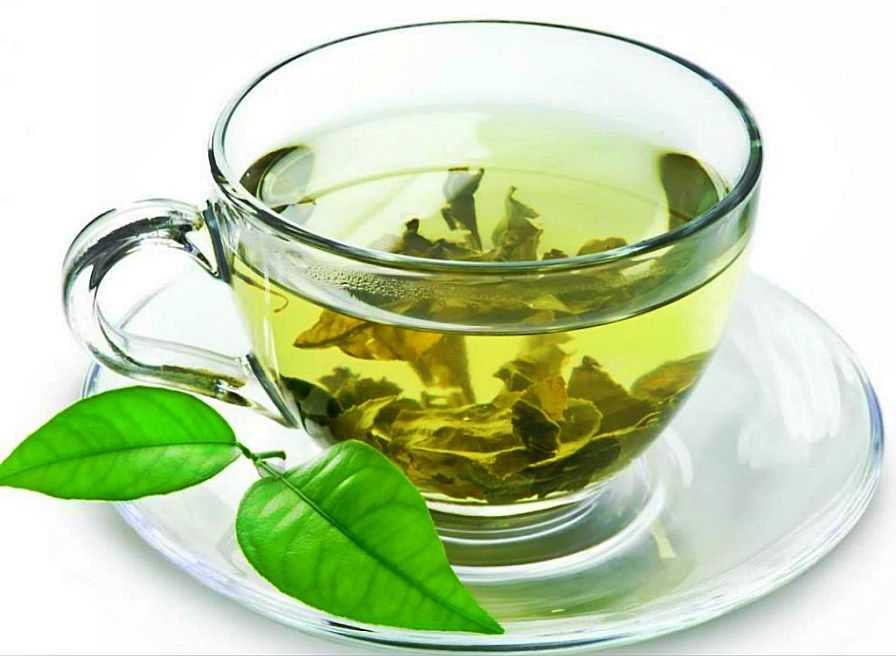 Чай из листьев земляники: польза и возможный вред