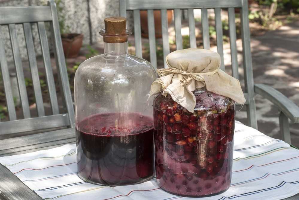 Как приготовить вино из вишни в домашних условиях: 14 простых рецептов