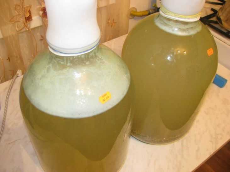 Самогон из березового сока. классический рецепт самогона из березового сока, фото. как гнать самогон