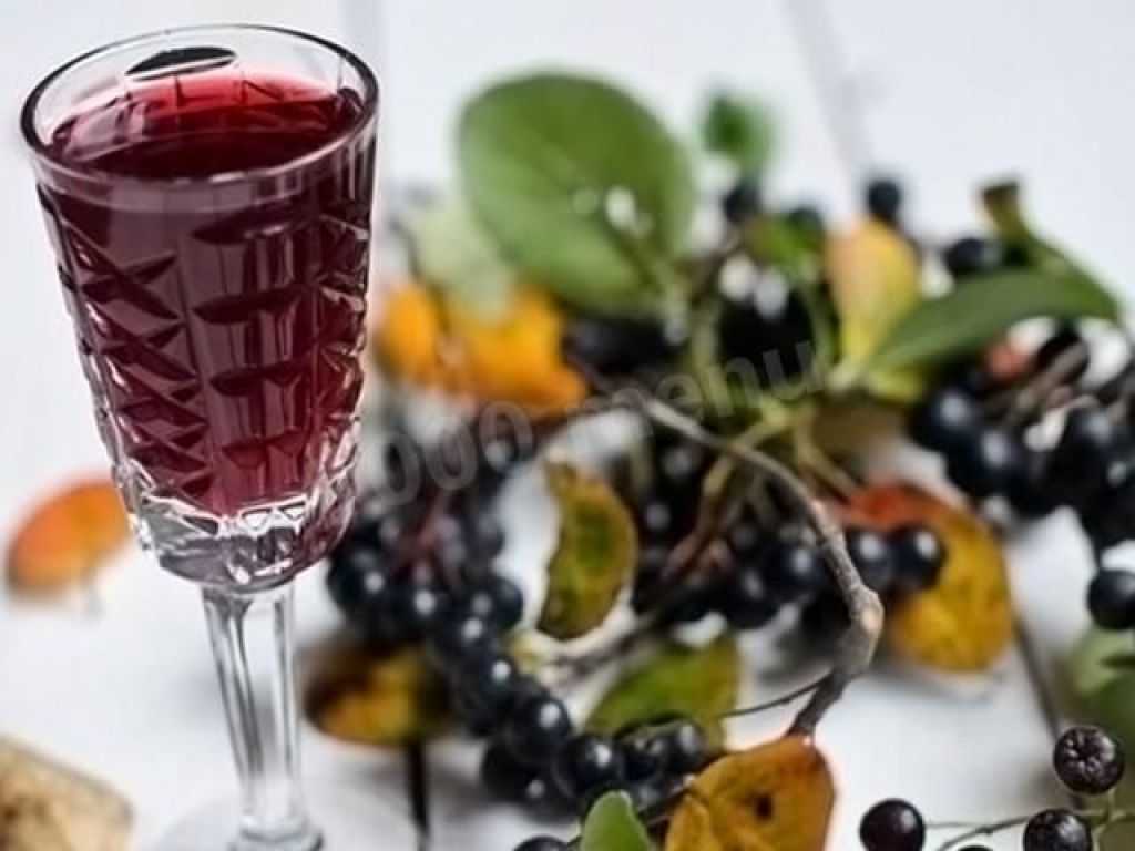 Вино из черноплодной рябины: советы виноделов, простые рецепты приготовления в домашних условиях