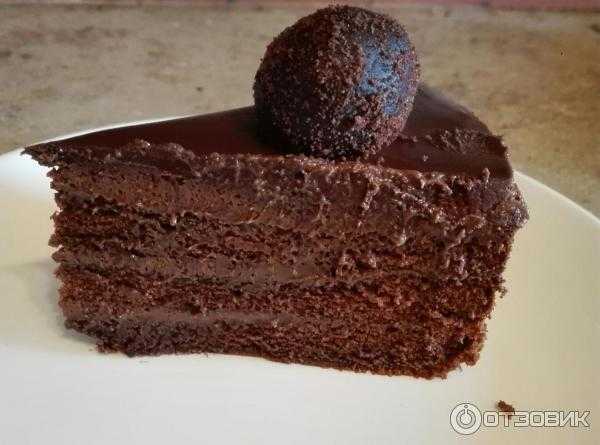 Рецепт торта “бельгийский шоколад” пошагово и фото всех этапов