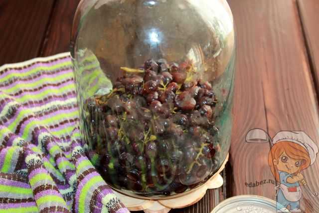 Простые рецепты приготовления компота из винограда на зиму в домашних условиях на 3-литровые банку