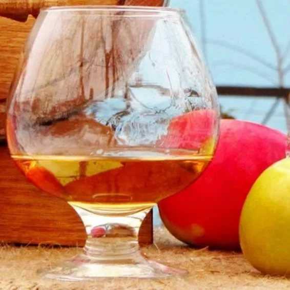 Вино из яблочного сока: как сделать из свежевыжатого в домашних условиях, можно ли приготовить без отжима, куда поставить бутыль, и простые рецепты из яблок, дрожжей