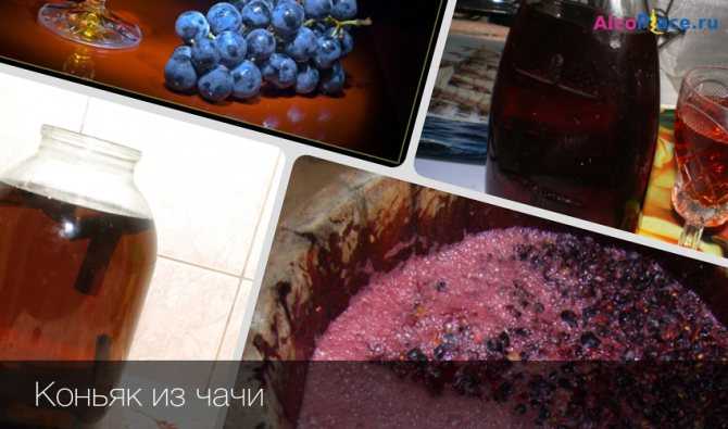 Готовим грузинскую чачу домашнюю из винограда: поиск по ингредиентам, советы, отзывы, пошаговые фото, подсчет калорий, удобная печать, изменение порций, похожие рецепты
